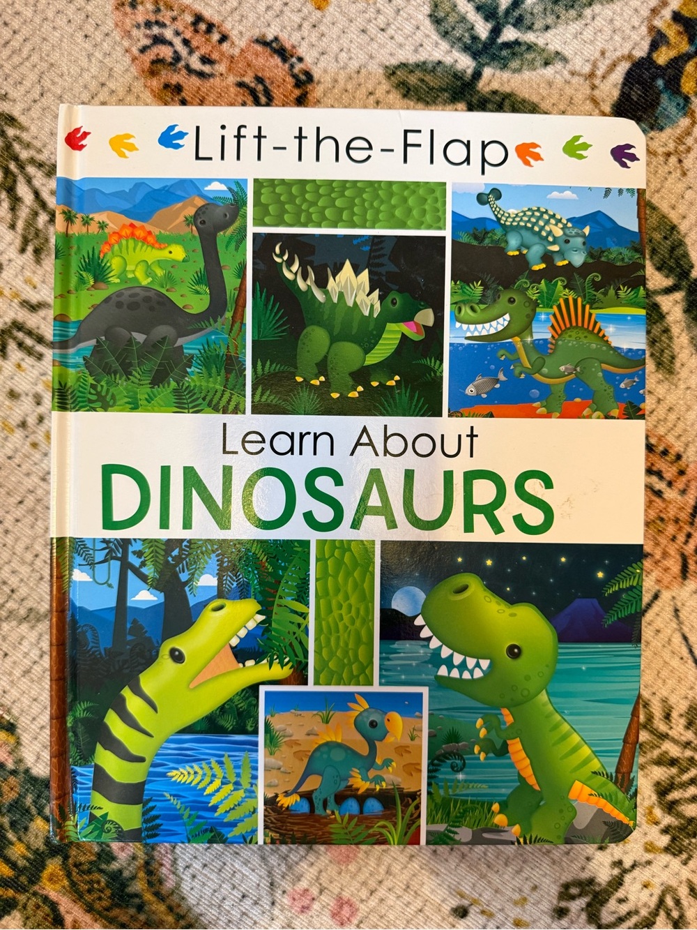 Lift-the-Flap Dinosaurs 🦕 Book - like new